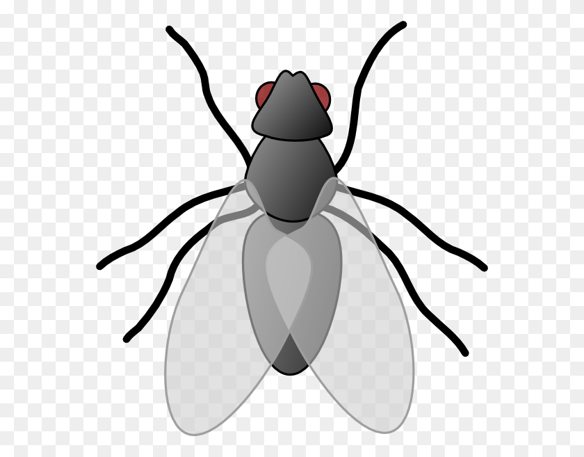 564x597 Fly Bug Insect Clip Art Free Vector - Old Building Clipart