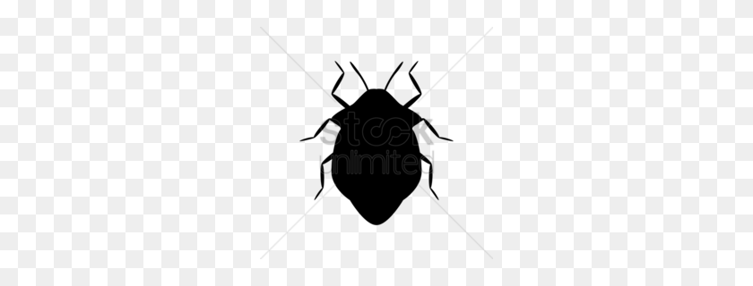 260x260 Fly Clipart - Scarab Beetle Clipart