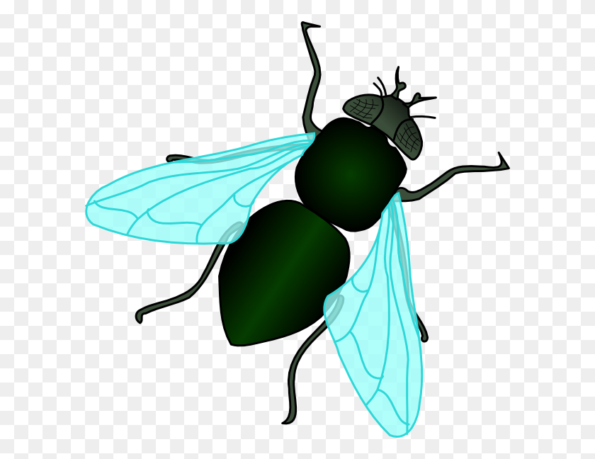 600x588 Fly Clipart - Ticket Images Clip Art