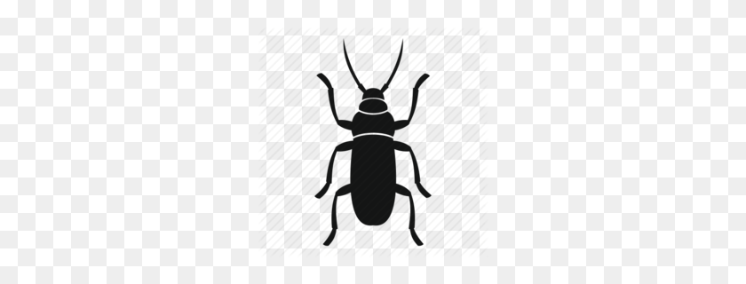 260x260 Fly Clipart - Beetle Clipart Black And White