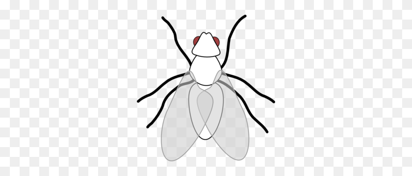 282x299 Fly Clipart - Bugs Clipart Black And White