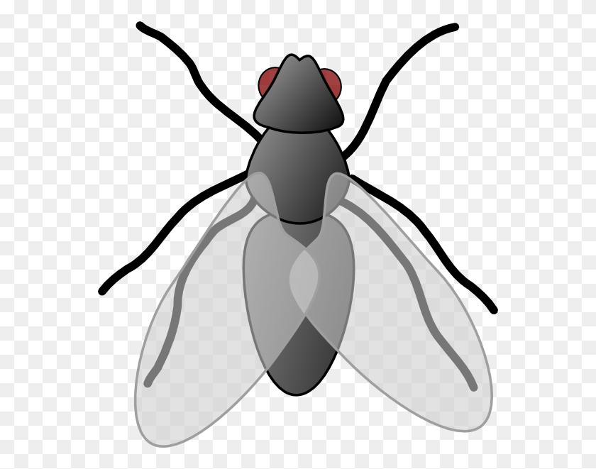 564x601 Fly Clipart - Fly Clipart Black And White