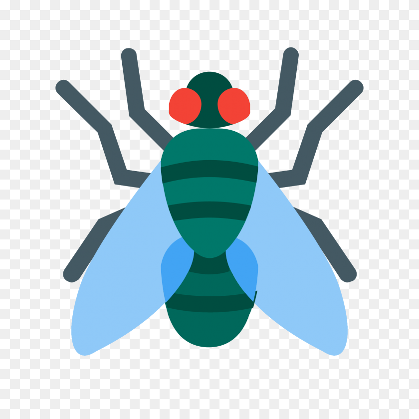 1600x1600 Fly Icon - Fly PNG