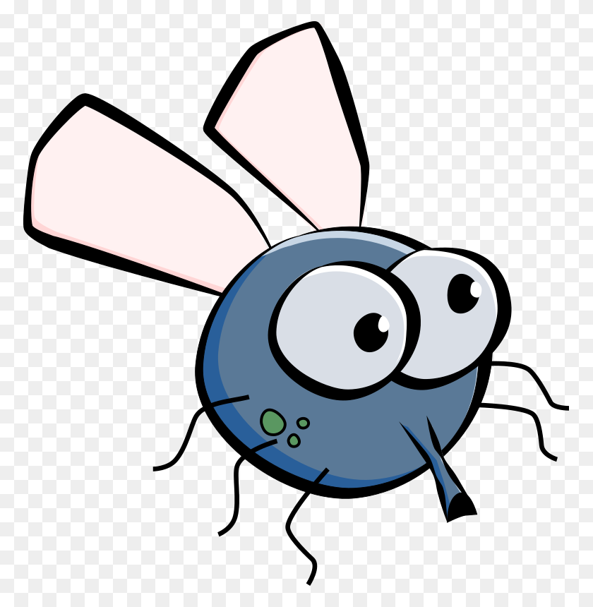 773x800 Fly Png Transparent - Fly PNG