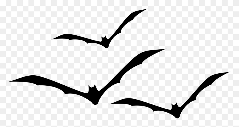 1519x750 Flying Bats - Clipart De Algas Marinas En Blanco Y Negro