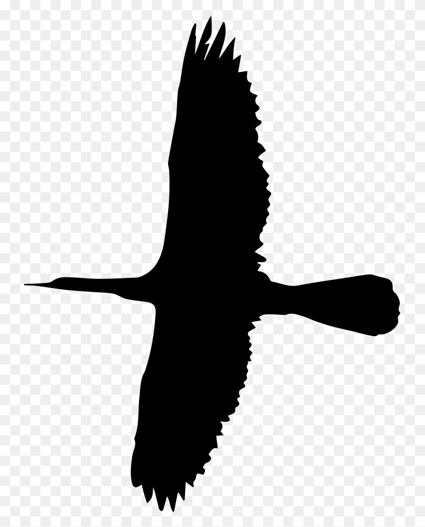 745x981 Значок Летающей Большой Птицы Png Скачать Бесплатно - Большая Птица Png