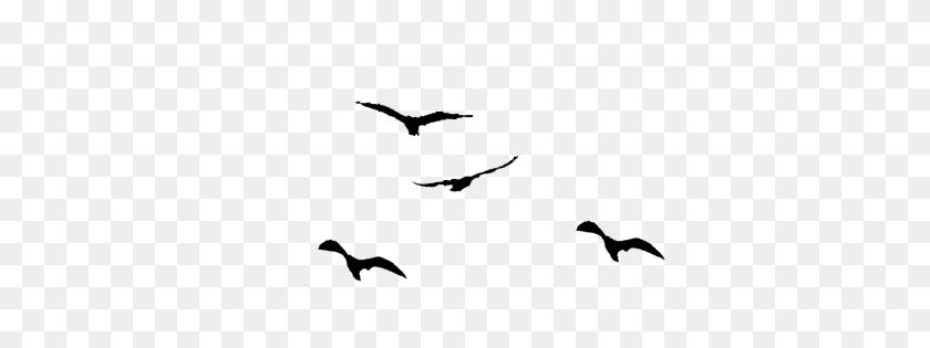 422x255 Flying Bird Png Transparent Flying Bird Images - Bird Silhouette PNG