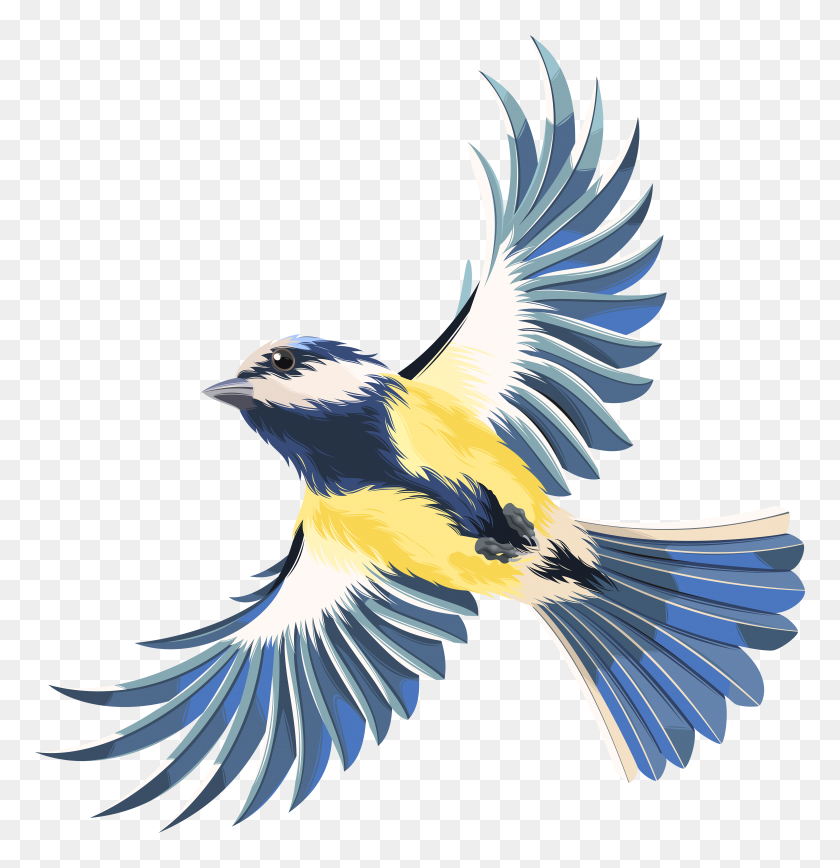 5787x6000 Pájaro Volador Png Clipart - Songbird Clipart