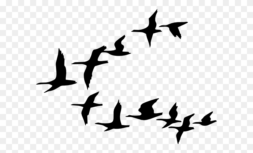 600x450 Летающие Птицы Клипарт Посмотрите На Летающие Птицы Картинки - Летающий Орел Клипарт