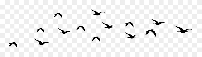7919x1829 Летающие Птицы Стая Векторные Иллюстрации, Изолированные На Белом - Голубь Клипарт Черно-Белый