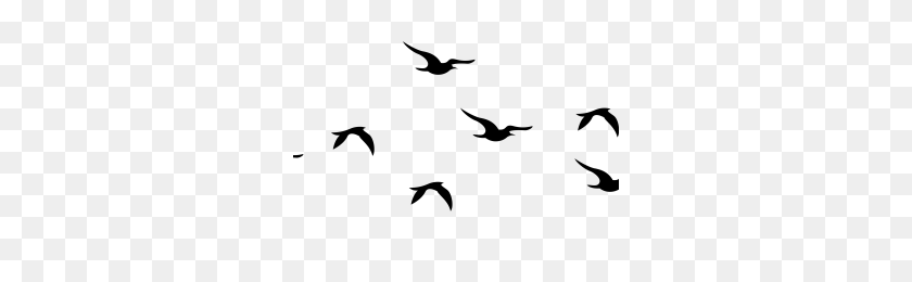 300x200 Flying Birds Png Images Png Image - Birds Flying PNG
