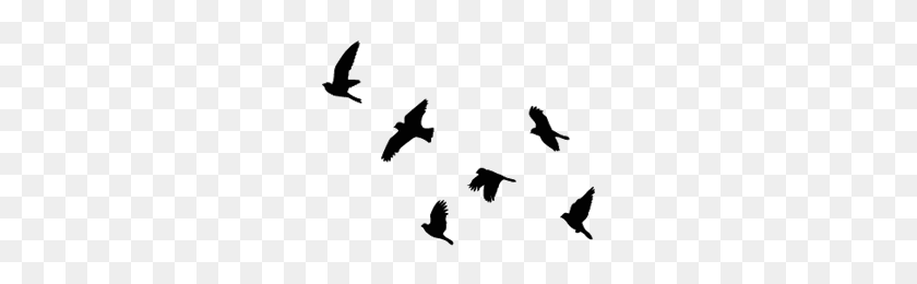 265x200 Летающие Птицы Наклейки На Стены Красота Сокрушает Татуировки - Голуби Летают Png