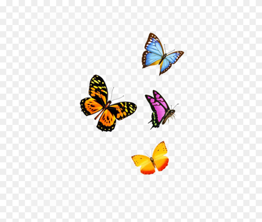 650x651 Flying Butterfly Png Image Background Png Arts - Butterfly PNG