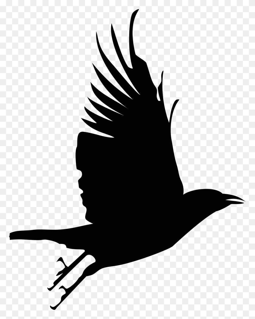 1893x2400 Flying Crow Silhouette Clip Art Ravens Crow, Crow - Feather Black And White Clipart
