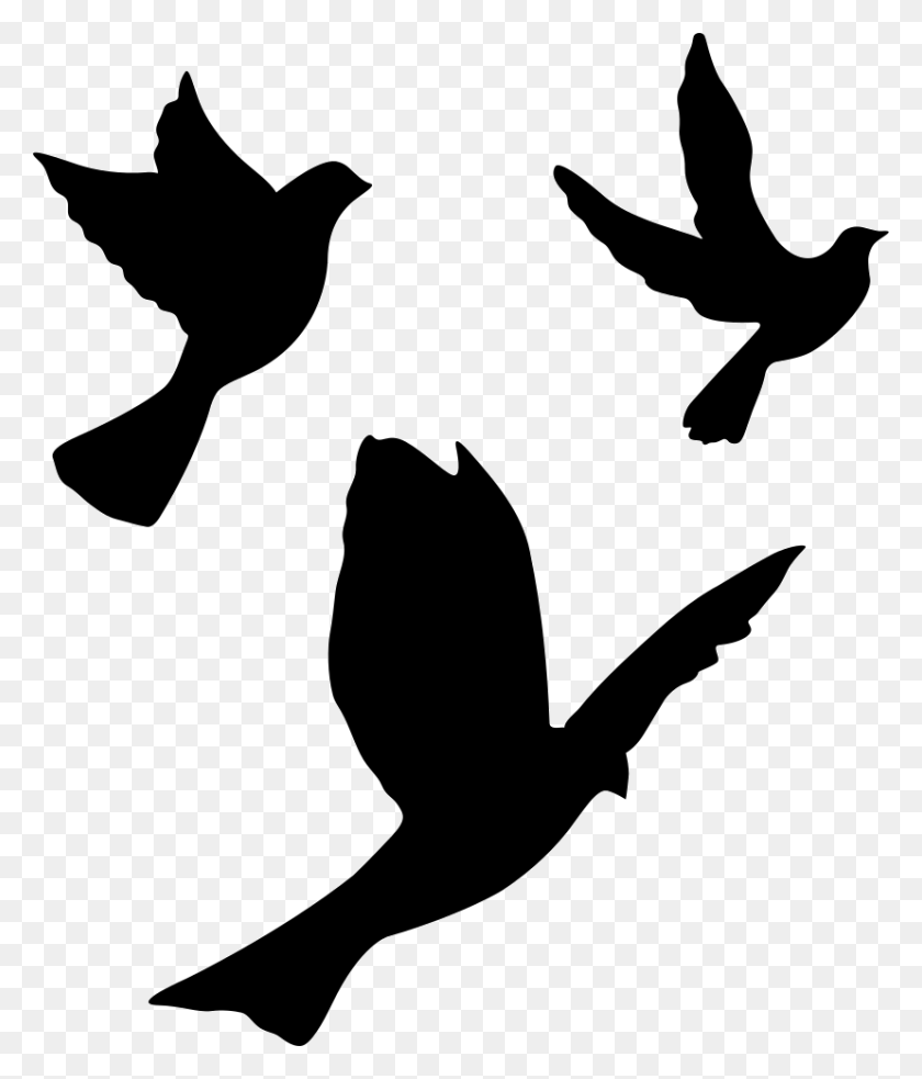 828x980 Flying Doves Group Png Icon Free Download - Doves Flying PNG