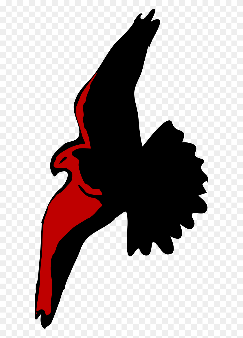 Flying Eagle Silhouette Clip Art Photo Eagle Mascot Clipart