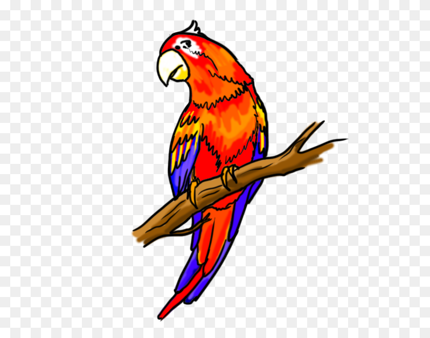 600x600 Flying Parrot Drawing - Budgie Clipart