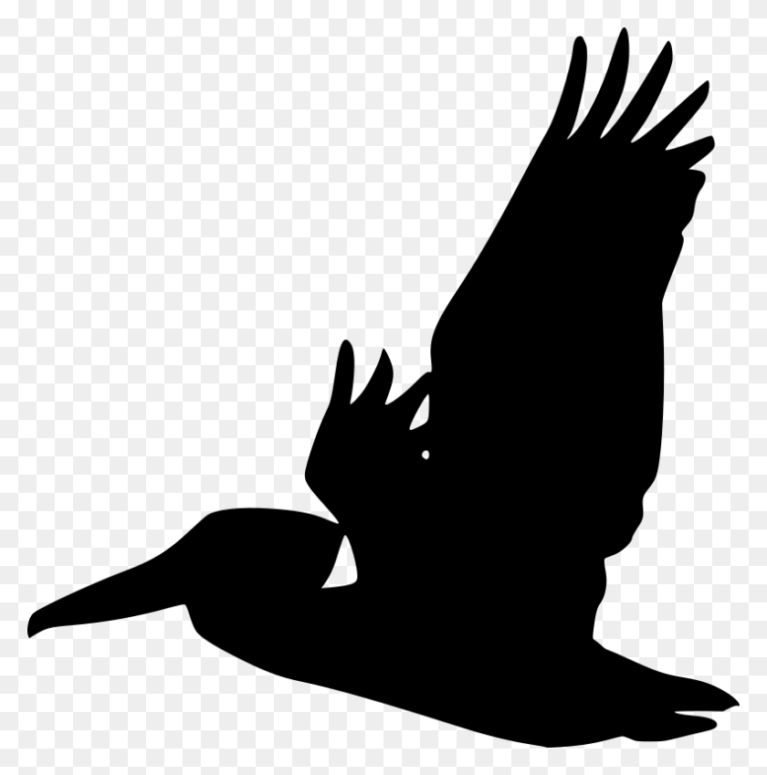 790x800 Flying Pelican Silhouette Free Vector - Free Raven Clipart