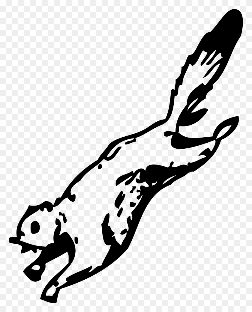 1772x2230 Ardilla Voladora Clipart - Opossum Clipart