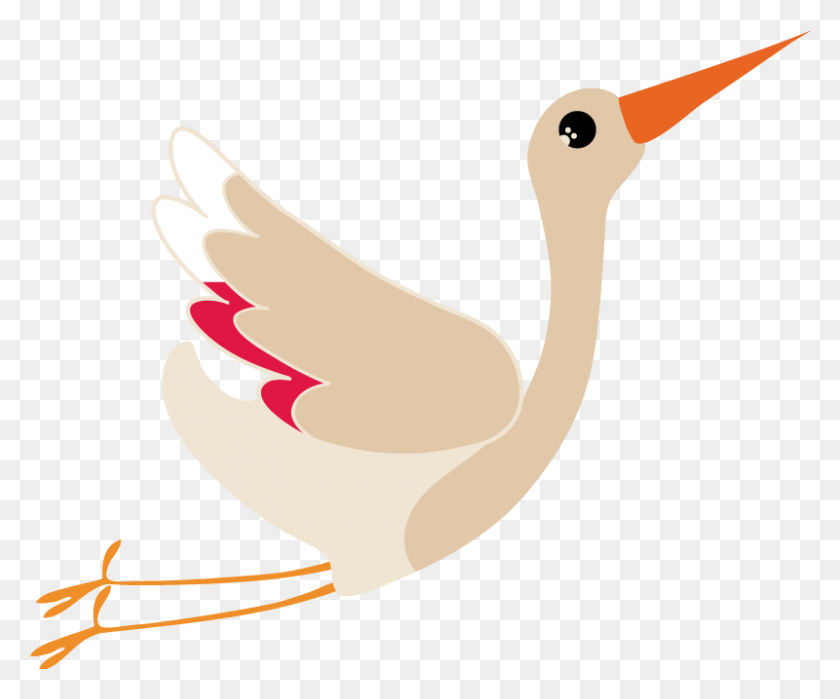 800x656 Flying Stork Wall Sticker - Flying Stork Clipart