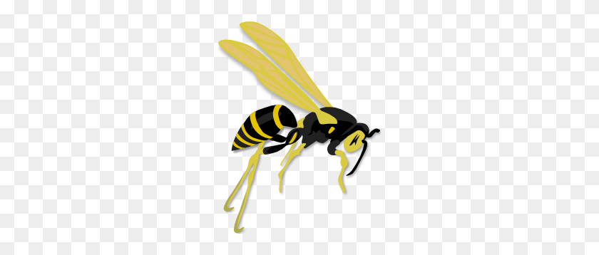 228x298 Flying Wasp Clip Art - Wasp Clipart