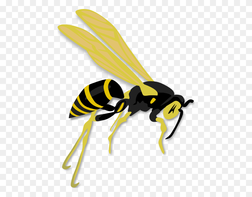 456x597 Flying Wasp Clip Art - Flying Bee Clipart