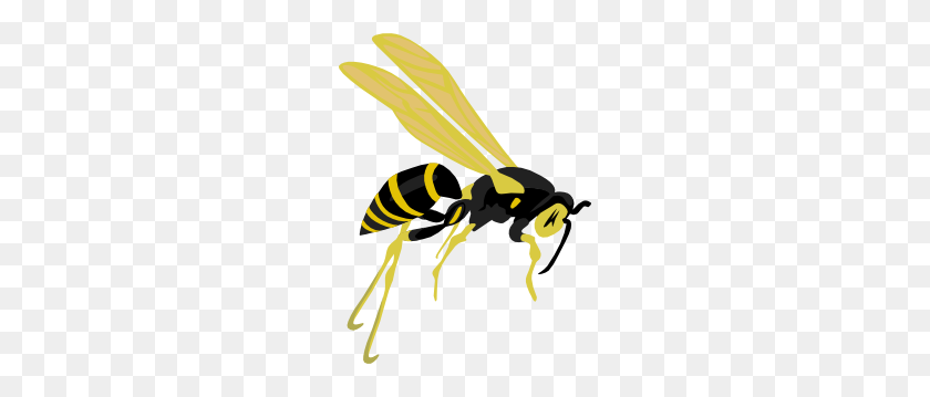 228x299 Flying Wasp Clip Art Free Vector - Hornet Clipart Black And White