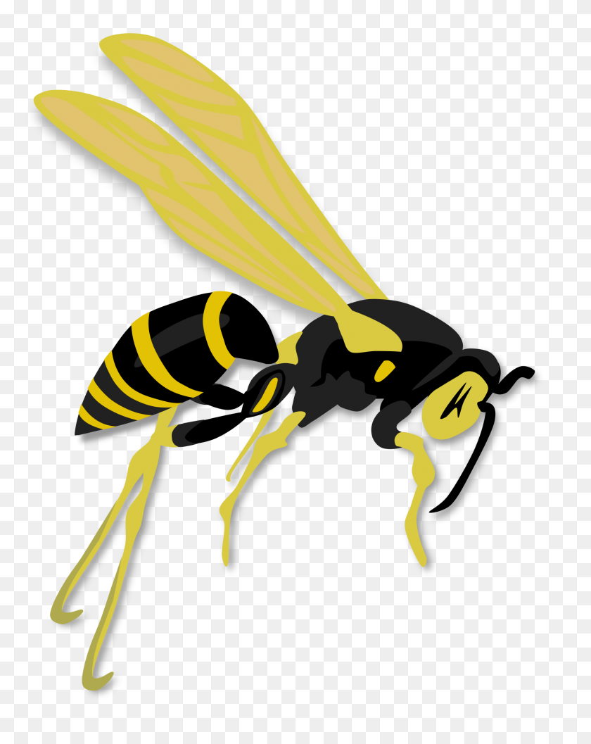 1877x2400 Flying Wasp Icons Png - Wasp PNG