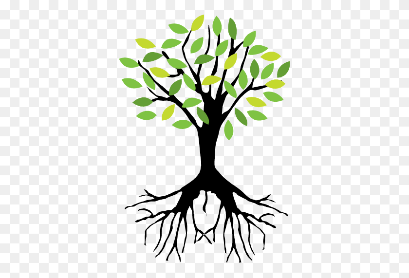 352x511 Flynn's Tree Pros - Tree With Roots PNG