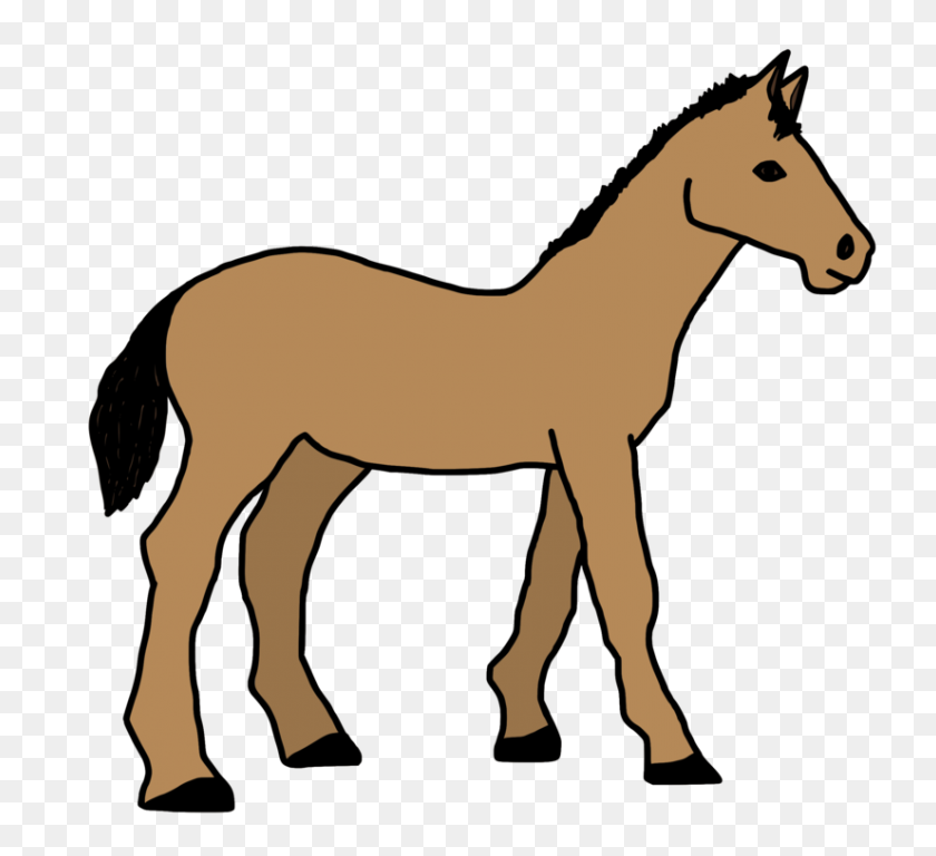 826x750 Foal Horse Pony Mule Colt - Colt Clipart