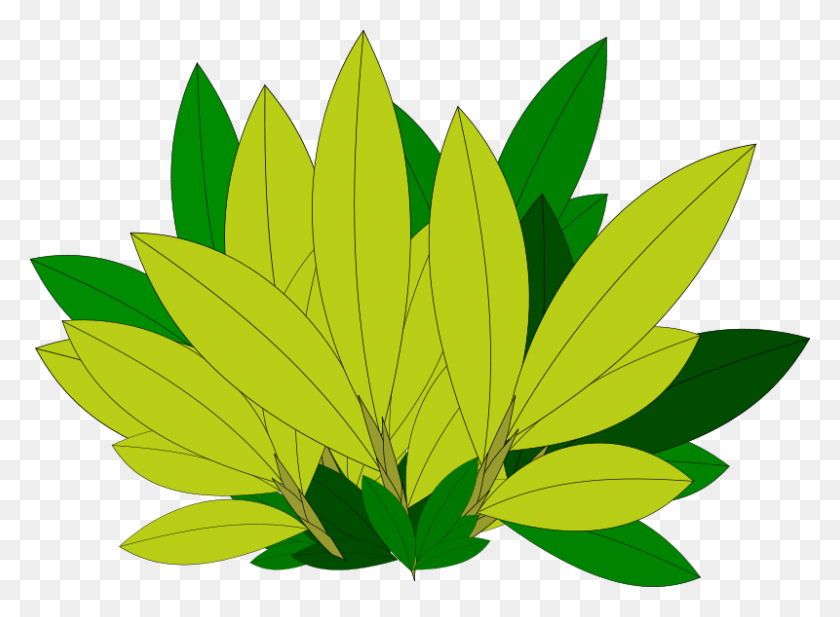 800x572 Foliage Clipart Tree Leaves - Jungle Leaves PNG