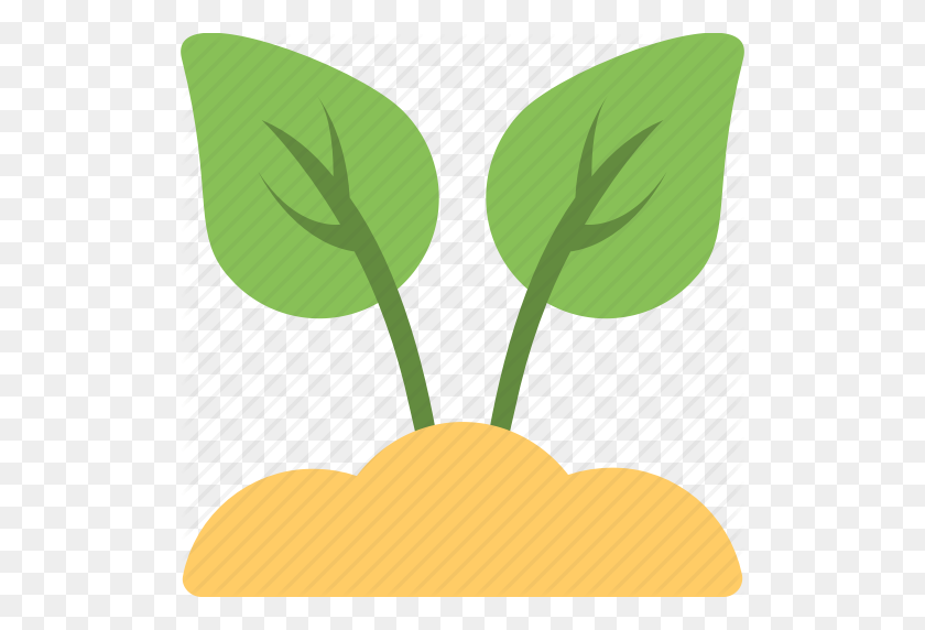 512x512 Foliage, Leaves, Plant, Sapling, Seedling Icon - Seedling PNG