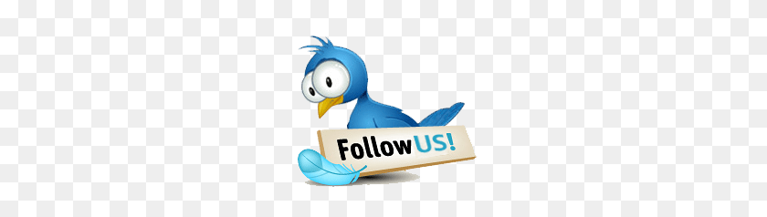208x178 Follow Us On Twitter ! ! - Follow Us PNG
