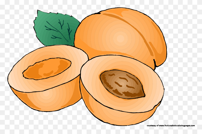1103x707 Food Clipart Pumpkin Fruit Royalty Free Png Transprent - Food Images Clip Art
