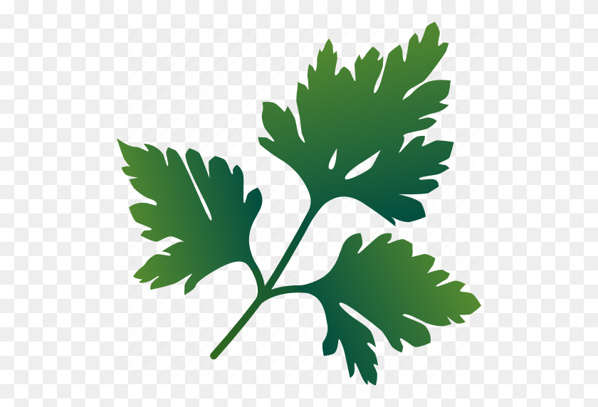 512x512 Food, Greenery, Healthy, Parsley, Spice, Vegetarian Icon - Parsley PNG