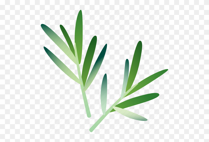 512x512 Food, Greenery, Healthy, Rosemary, Spice, Vegetarian Icon - Rosemary PNG