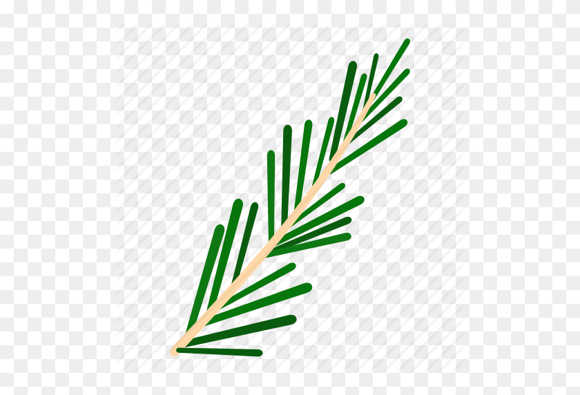 512x512 Food, Herb, Ingredient, Plant, Rosemary, Spice, Thyme Icon - Rosemary PNG