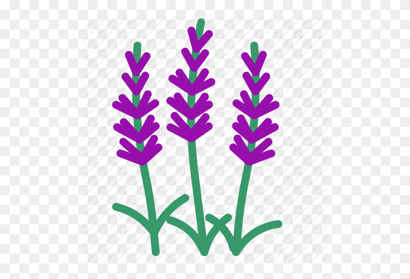 512x512 Food, Herb, Lavender, Vegetable Icon - Lavender PNG