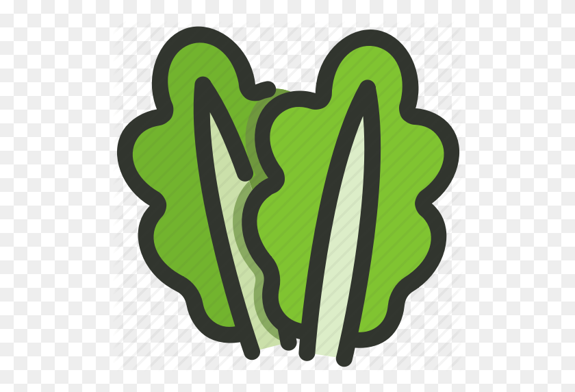 512x512 Food, Leaf, Lettuce, Salad, Spinach, Vegetable Icon - Lettuce Leaf Clipart