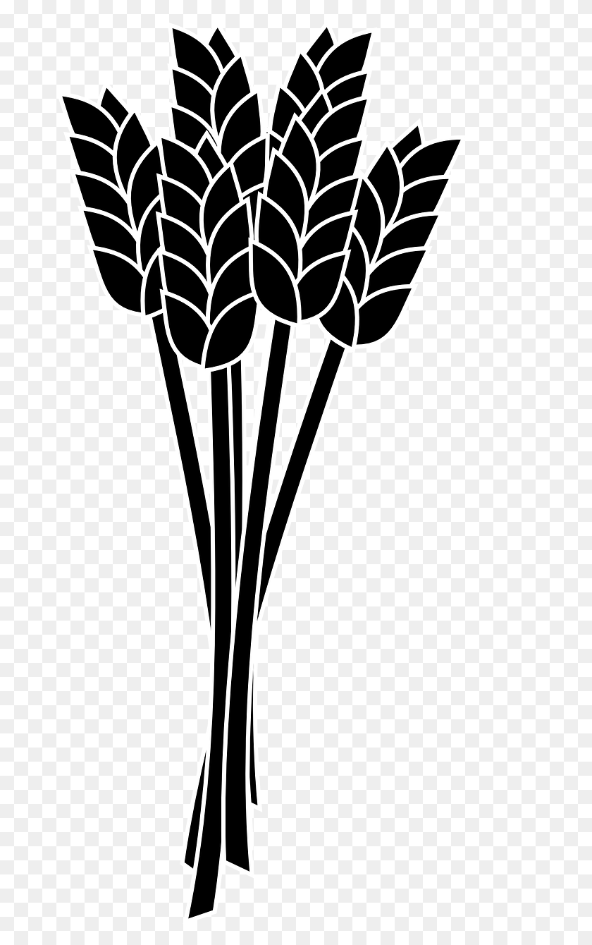 678x1280 Еда, Колосья Пшеницы Гроздь Зерновых Культур - Зерновой Клипарт
