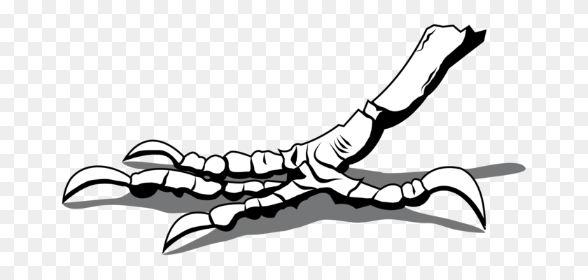 669x340 Foot Hand Knee Human Leg - Shrimp Clipart Black And White