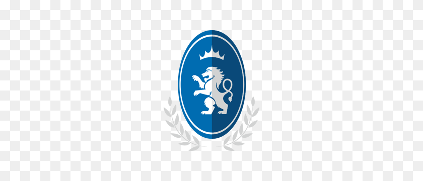 300x300 Football As Football Logos De La Nfl Rediseñados Para Parecerse A Los Europeos - Logotipo De Los Detroit Lions Png