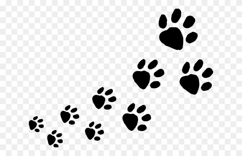 640x480 Footprints Clipart Laxmi - Dog Footprint Clipart