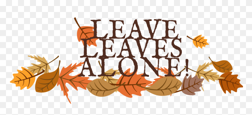 994x412 For Professionals Leave Leaves Alone - Pile Of Leaves Clipart