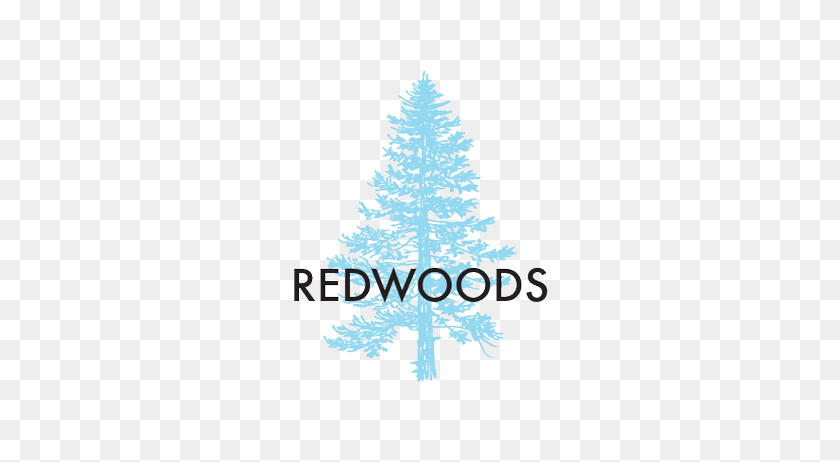 400x402 For The Wild - Redwood Tree PNG