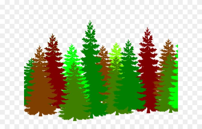640x480 Forest Clipart Evergreen Tree - Evergreen Tree Clipart