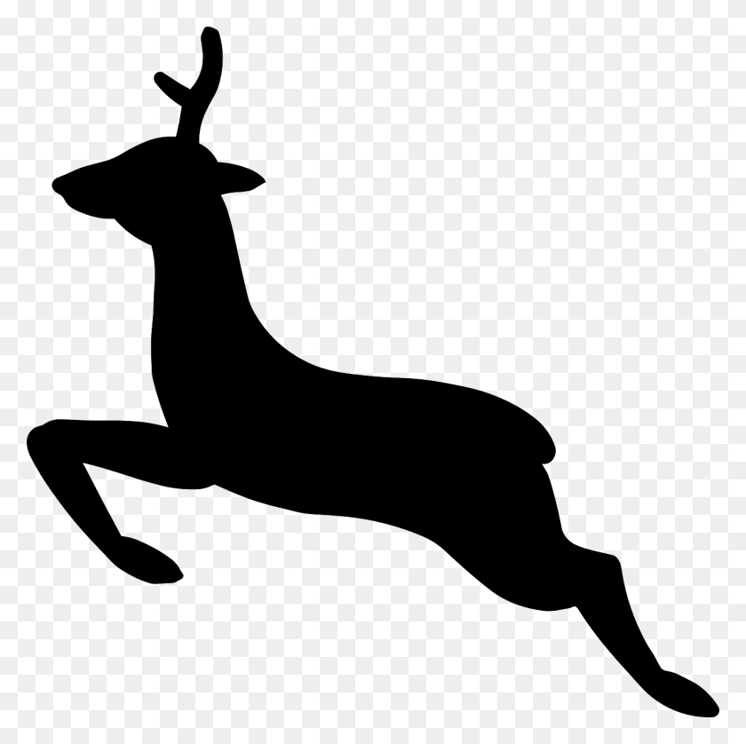 1280x1277 Forest, Deer, Animal, Mammal, Wild, Wildlife - Deer Antlers Clipart Black And White