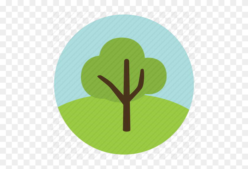 512x512 Forest, Green, Leaves, Nature, Olive, Tree, Woods Icon - Woods PNG