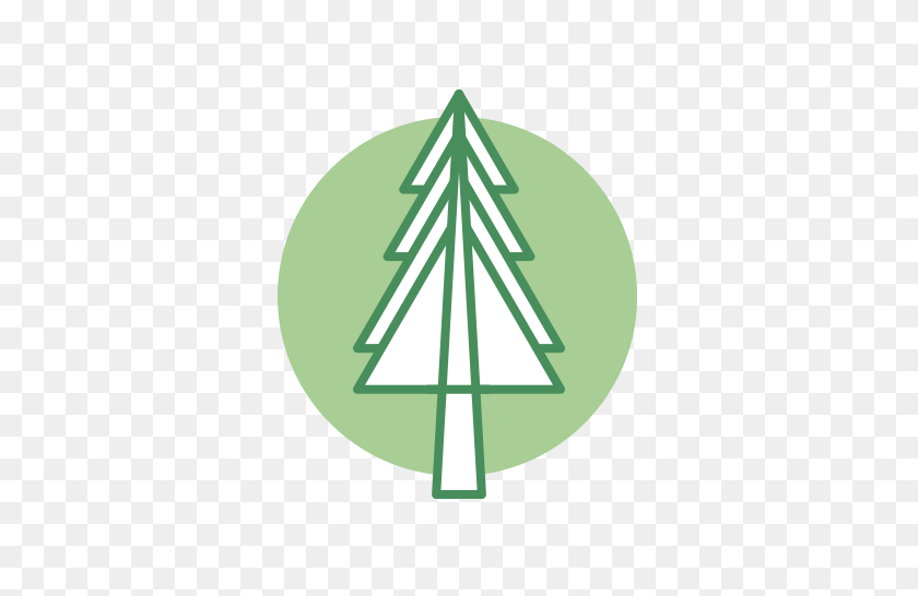 671x486 Forest Icons - Forest PNG