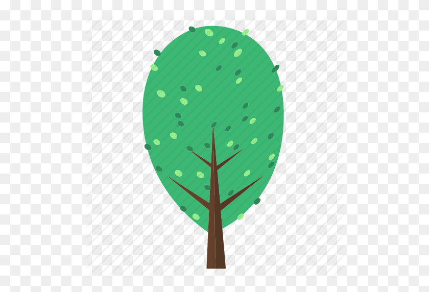 512x512 Лес, Джунгли, Листья, Природа, Растение, Дерево, Значок Деревья - Листья Джунглей Png